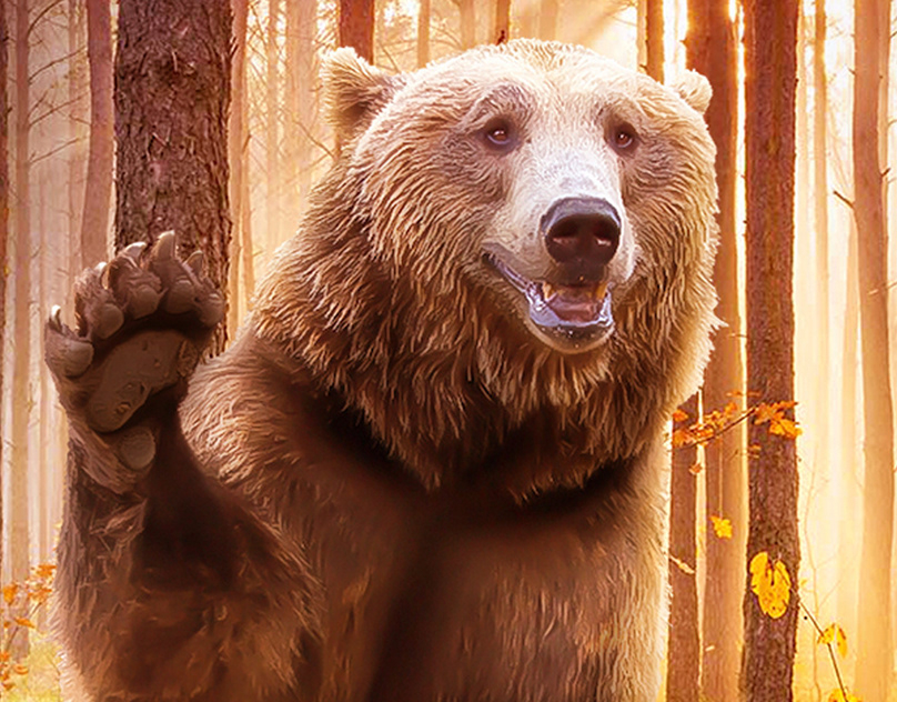 MASHA-ORSO-TRIBUTE